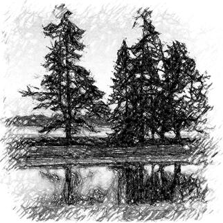 Black and white chalk drawing of trees by a lake.